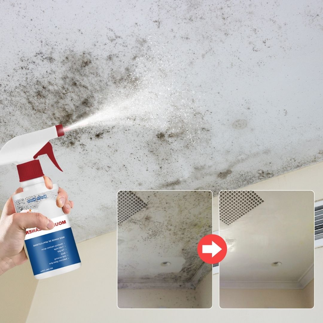 AFORA | Mold Remover Spray®